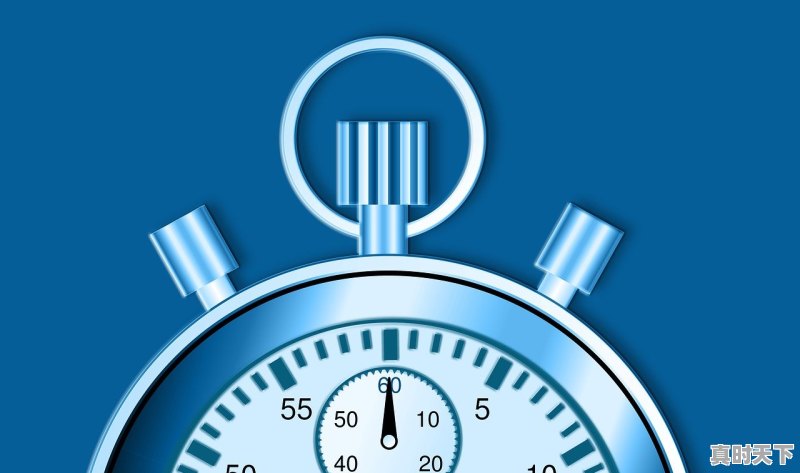 1、2021猪价，11月30日什么价格_今日毛价格 - 真时天下