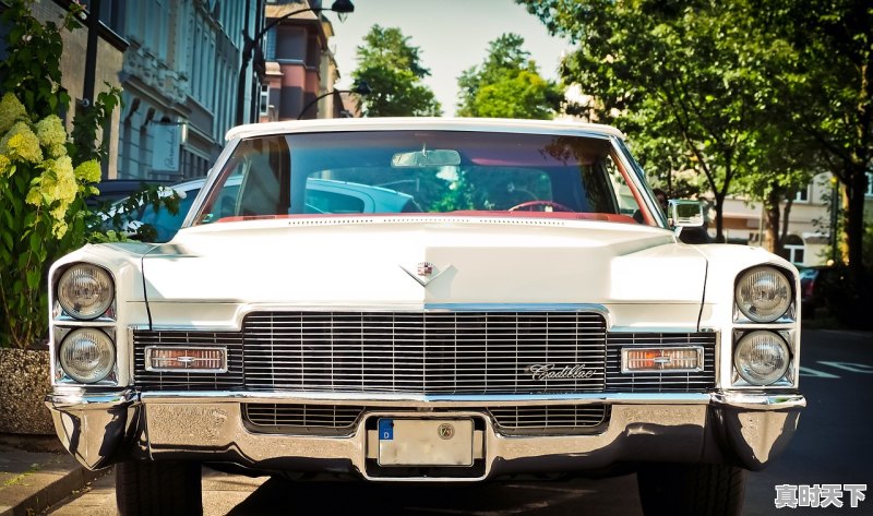 1、为什么二手车市场里好多车有牌照_二手车手刹灯一直亮 - 真时天下