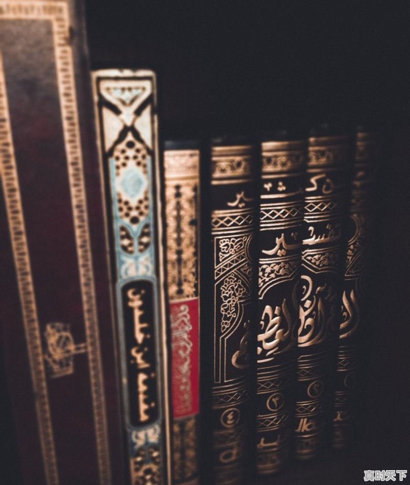 1、股票小说排行榜前10名_投资股票的书籍有什么推荐 - 真时天下