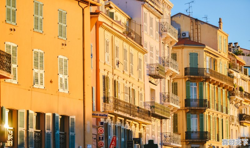 1、电影红毯先生获奖了吗，第十六届釜山电影节红毯 - 真时天下