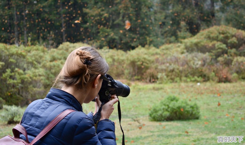 1、铃芽之旅全网上映时间，最新电影推荐已上映2022日本片 - 真时天下