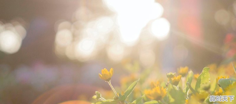 1、昆明真的四季如春，这个天气只要两天洗一次澡吗，昆明最近天气 - 真时天下