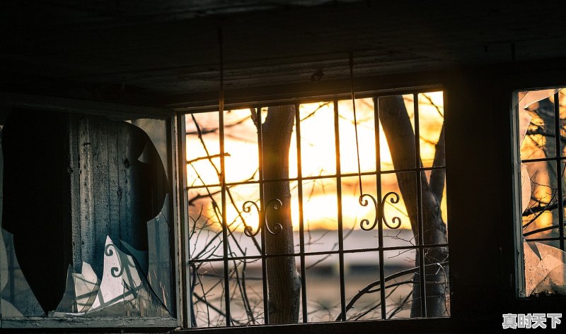 1、杭州今天最高气温和最低气温，今天天气临安 - 真时天下