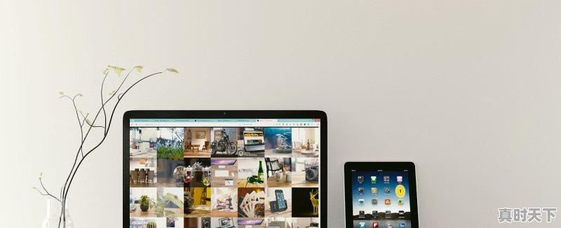 1、什么是ip游戏_王者营地的ip准确吗 - 真时天下