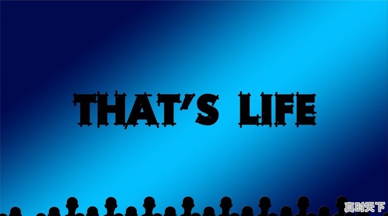 1、推荐几部好看了电影，科幻片，不是VIP只能观看了那种_推荐几部有趣刺激的科幻片，类似第九区那样电影 - 真时天下