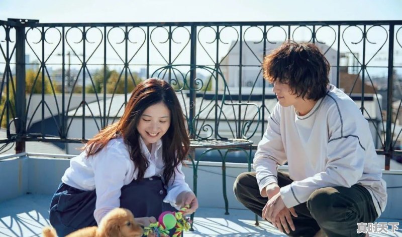 2、日韩最新电影_有哪些韩国的影片推荐 - 真时天下