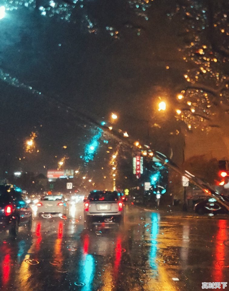 1、青岛十一天气穿什么,青岛今天天气 - 真时天下