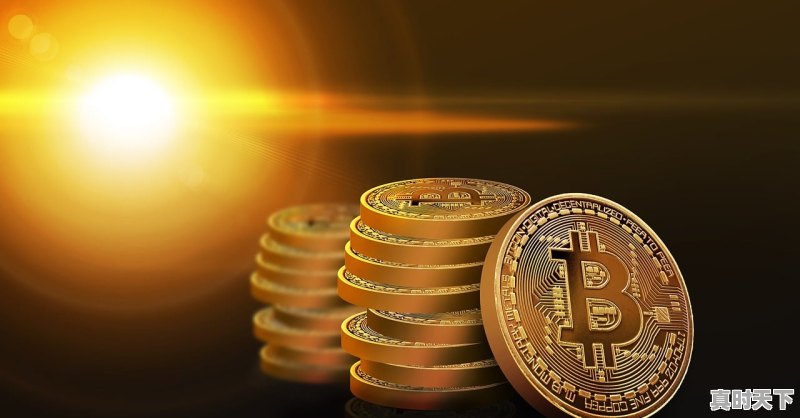 1、2019年柏林电影节提名_柏林电影节入围标准 - 真时天下