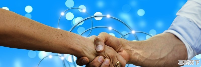 1、毛猪价格，今日猪价每公斤多少钱，今日生猪价格涨势走向 - 真时天下