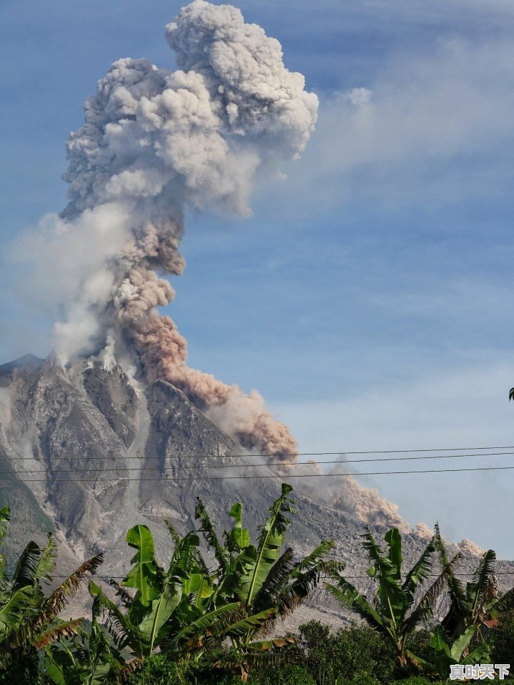 1、元谋和攀枝花气候有什么区别,永仁天气 - 真时天下
