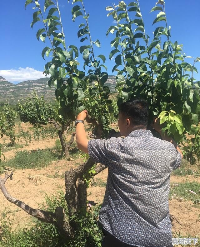 1、日韩欧美免费好看的电视剧电影,今年最新电影连续剧 - 真时天下