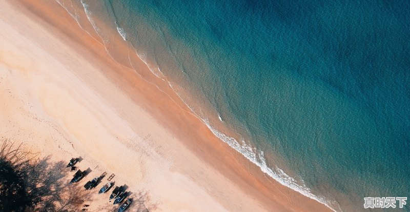 1、2022年下半年上映的电影,最新电影推荐2022韩国动作片 - 真时天下