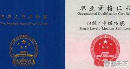 5、二手车评估理论,二手车评估鉴赏论文选题 - 真时天下