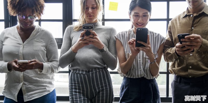 1、极速营救连姆尼森上映时间,连姆尼森最新电影2022记忆 - 真时天下