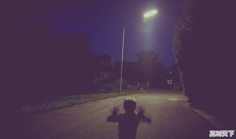 1、2022平安夜上映的电影有哪些,最新电影2022年上映的电影院有哪些 - 真时天下