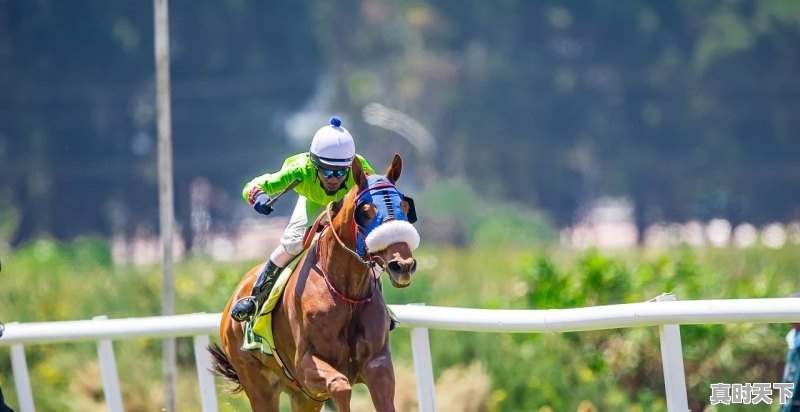 1、ns必买10个良心游戏,热门游戏人气榜排行榜前十名有哪些名字好听 - 真时天下