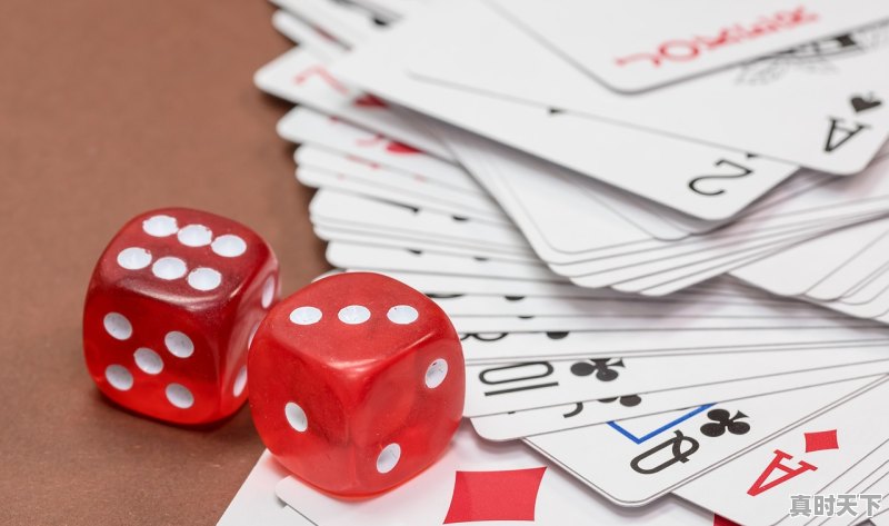 1、平安分红直接提现到投保人卡上吗_邻居合伙人上自己的分红收益怎么提现呢 - 真时天下