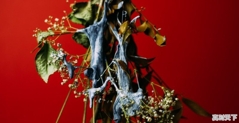 1、历史上的周姓名人有哪些_超时空要爱吕蒙是谁演的 - 真时天下