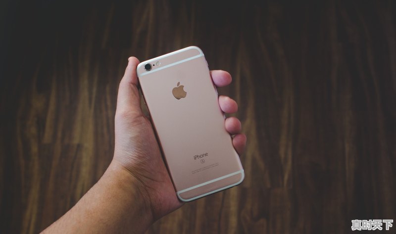 1、苹果手机玩游戏推荐哪个好_苹果手机好玩的单机游戏推荐 - 真时天下