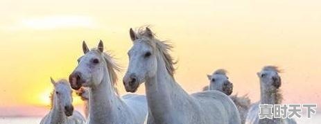 1、闪电侠2023电影结局_闪电侠2023好看吗 - 真时天下