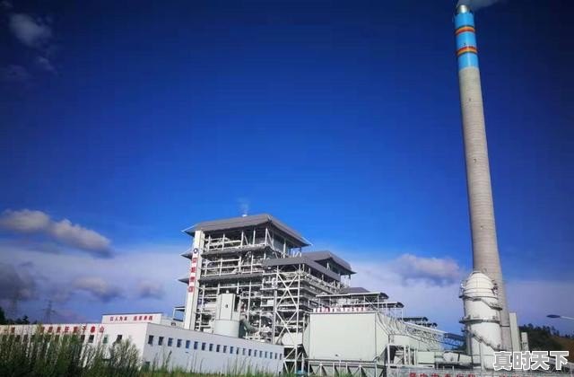 13、有谁找了莱州媳妇?说说你们从定亲到结婚的套数呗,莱州市今日生猪价格 - 真时天下