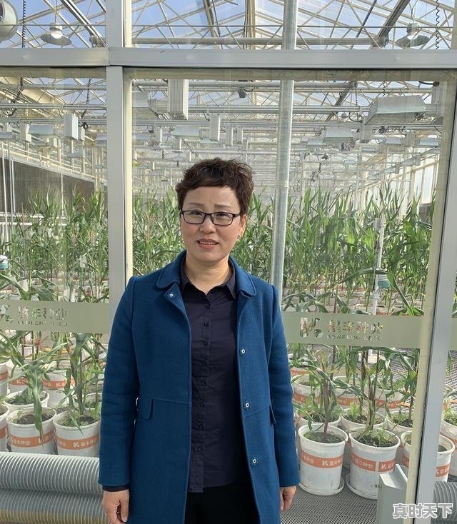 1、2020和2021新电影,2020最新电影金刚川抢先版 - 真时天下