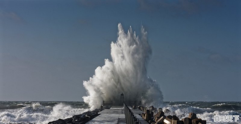 1、如何参加电影首映,最新电影首映 - 真时天下