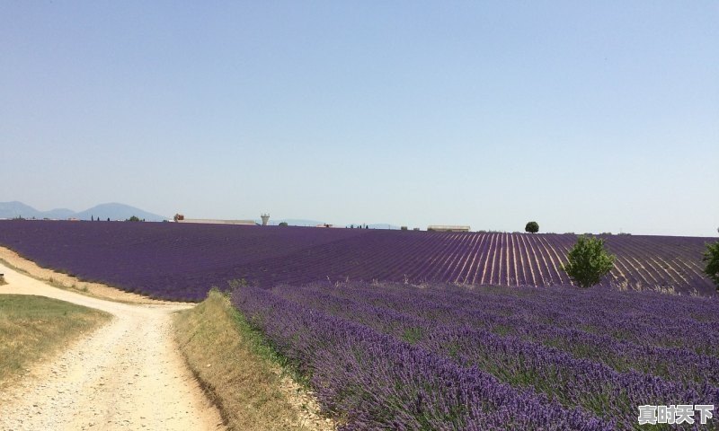 1、昆明滇池7月份好玩吗,滇池天气 - 真时天下