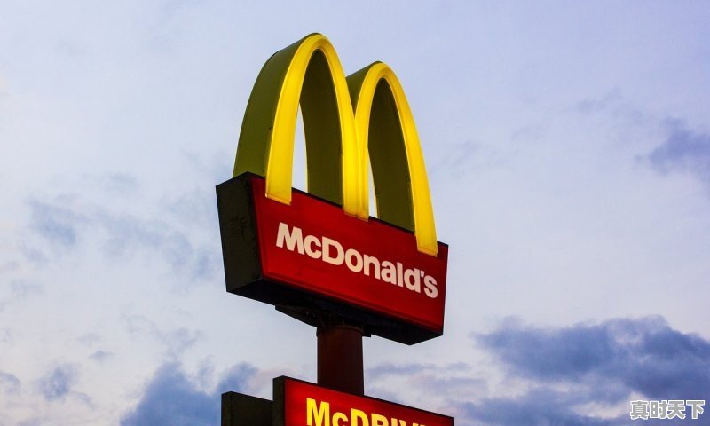 1、上海黄金交易所和银行哪个便宜_上海黄金交易所黄金期货交易一手多少钱 - 真时天下