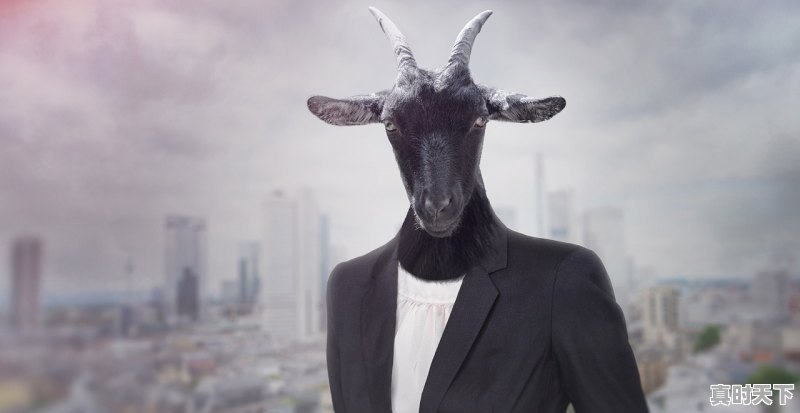 1、2022已上映好看的国产电影排行榜,2022国产最新电影 - 真时天下