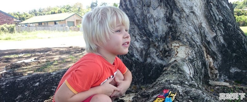 1、芭比第一部是什么时候出的,芭比2023年最新电影动画 - 真时天下