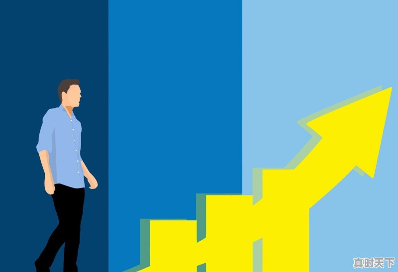 1、散户买股票怎么样才能得到分红_股市里常常提到分红，具备什么条件才能得到分红 - 真时天下