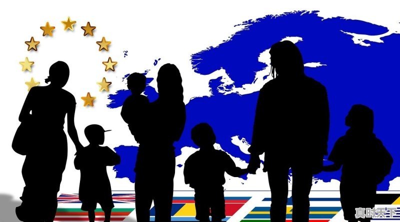 1、戛纳的所有奖项_世界电影奖中最高奖项是什么 - 真时天下