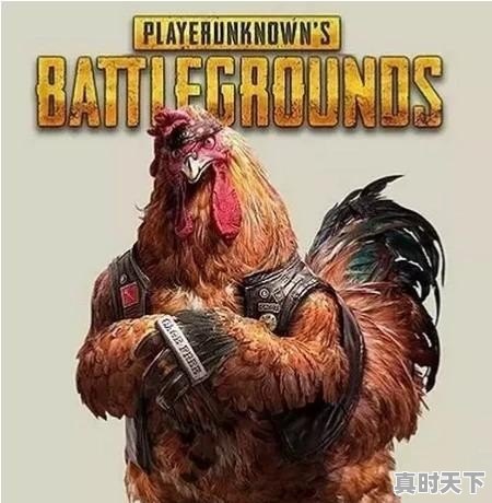 1、洗车行附近适合做什么生意_二手车应聘要懂些什么 - 真时天下