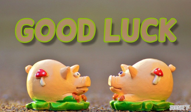 1、2021全球票房排行榜前十名_2020年全球票房排行榜 - 真时天下