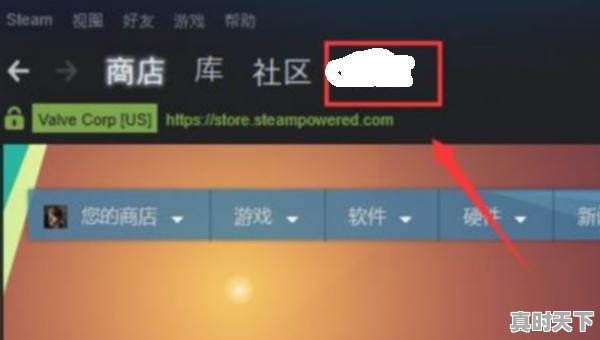 1、steam怎么改昵称,热门游戏人物角色名字怎么改不了了呢 - 真时天下