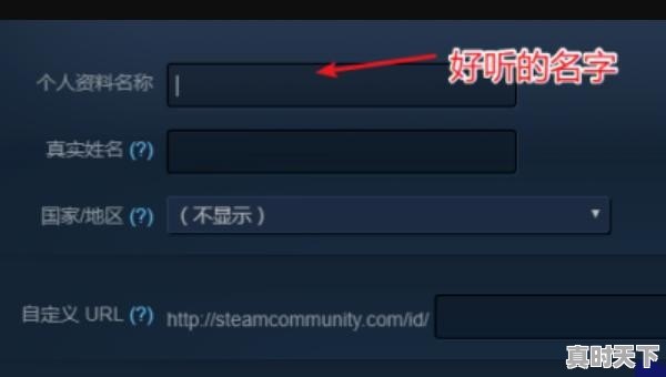 3、steam怎么改昵称,热门游戏人物角色名字怎么改不了了呢 - 真时天下