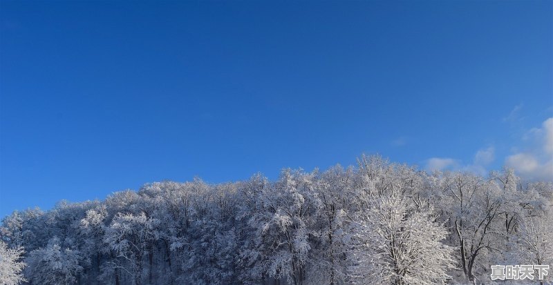 1、贵州冬季气候特点_贵州常年气温如何,雨水多不多 - 真时天下