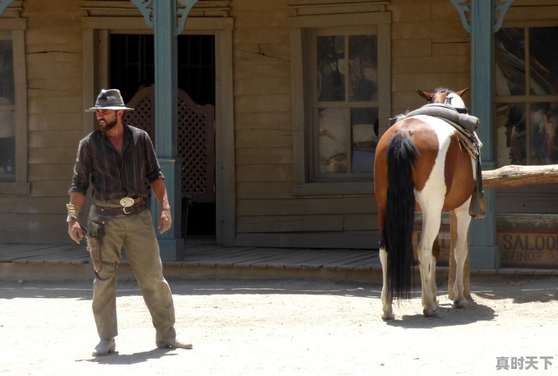 1、2021美国十部顶级动作电影，好莱坞最新电影介绍 - 真时天下