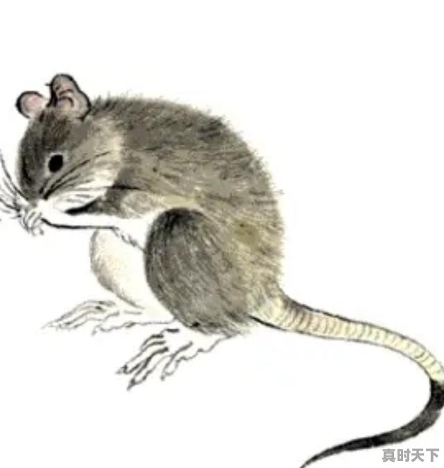 1、奥斯卡金像奖都设有哪些奖项,奥斯卡电影节奖项名单最新公布 - 真时天下