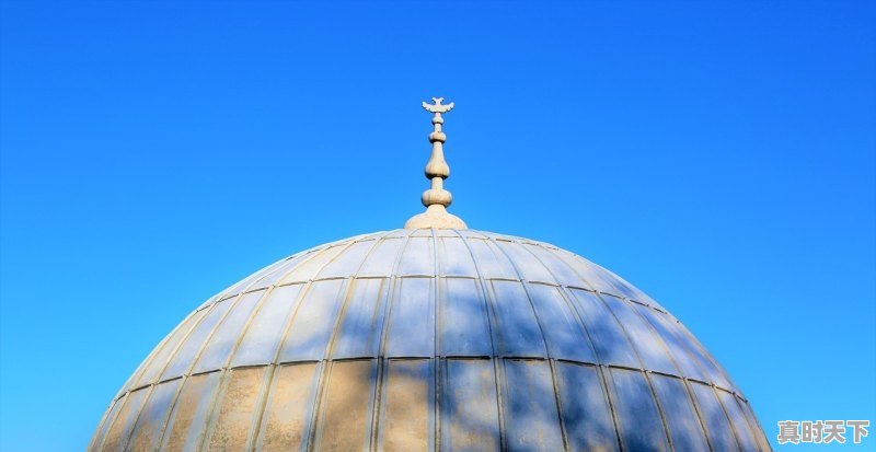 1、重庆科技学院地质类专业如何,地质科技创新方向 - 真时天下