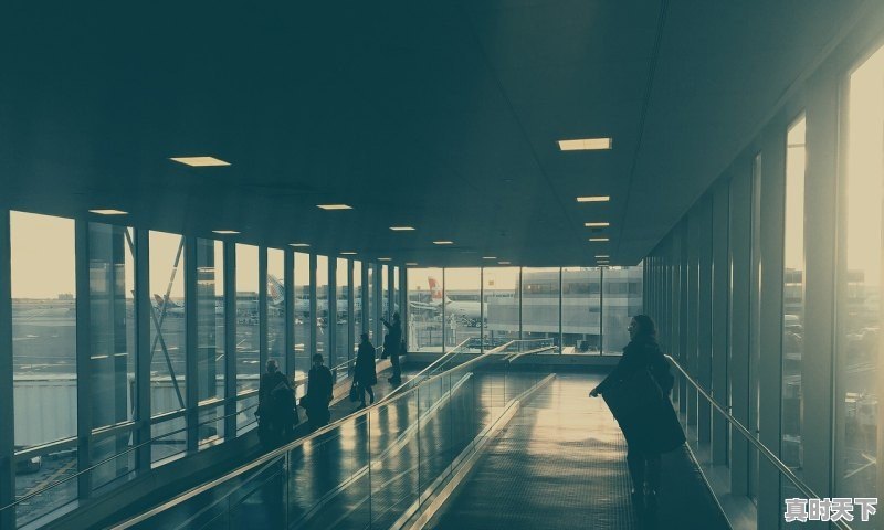 1、扩大进口,利好哪些股票,最新股票 - 真时天下