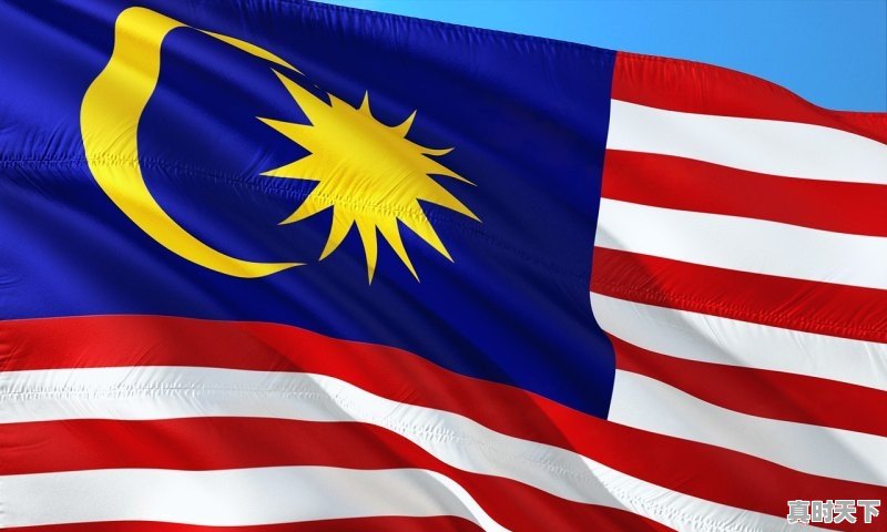 1、上海国际电影节重播时间，上海电影节红毯几点到几点 - 真时天下