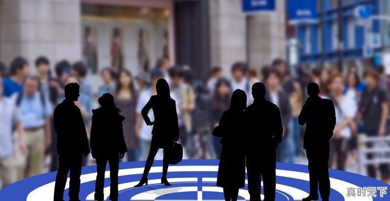 1、什么是推动科技创新的主体力量，对科技创新起主体作用 - 真时天下