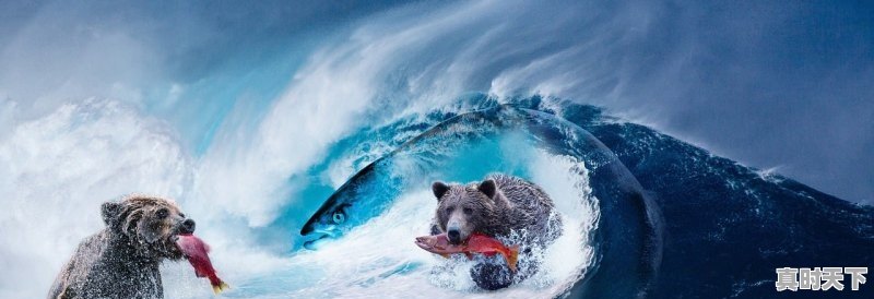 1、都市修仙漫画有哪些_重生之都市修仙完结了吗 - 真时天下