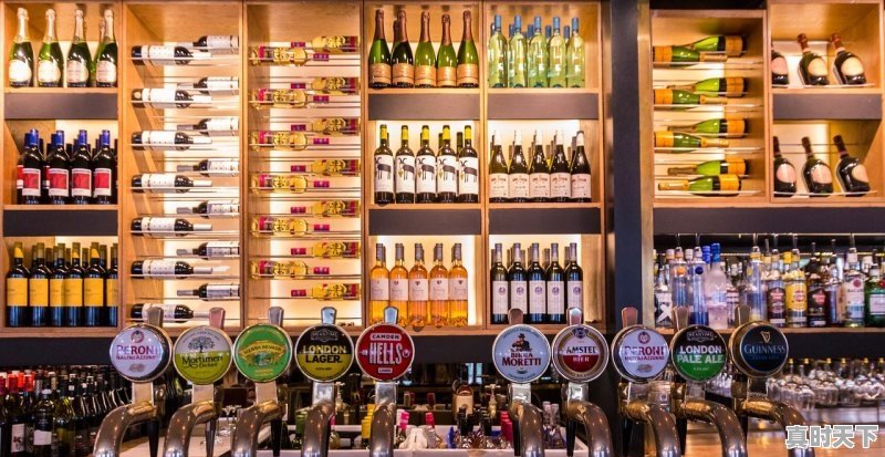 1、中国食品加工厉害吗,科技创新与食品发展 - 真时天下