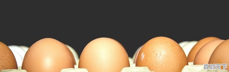 1、东北今日玉米价格,东北今日玉米价格 - 真时天下