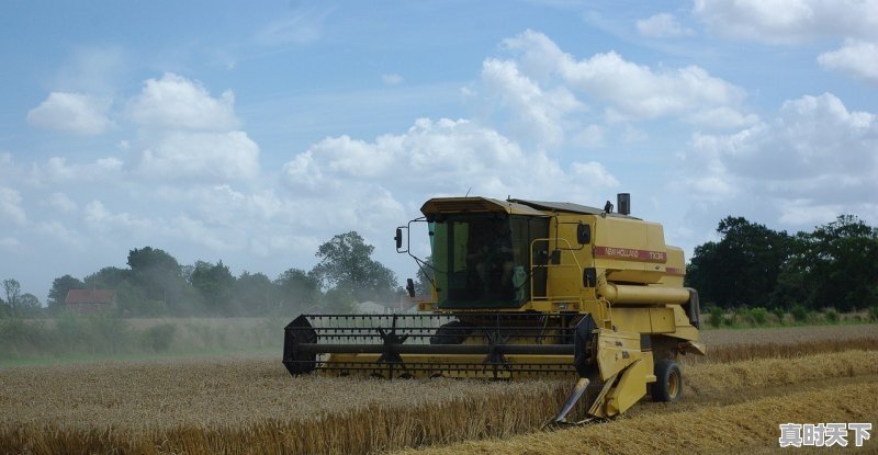 1、山西吕梁农村穷吗,今日吕梁玉米价格 - 真时天下