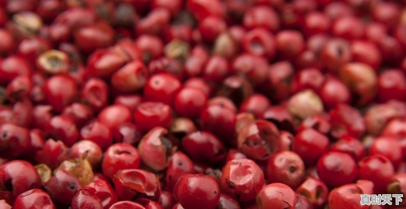 1、中国茶油报价，今日江西柴油价格 - 真时天下