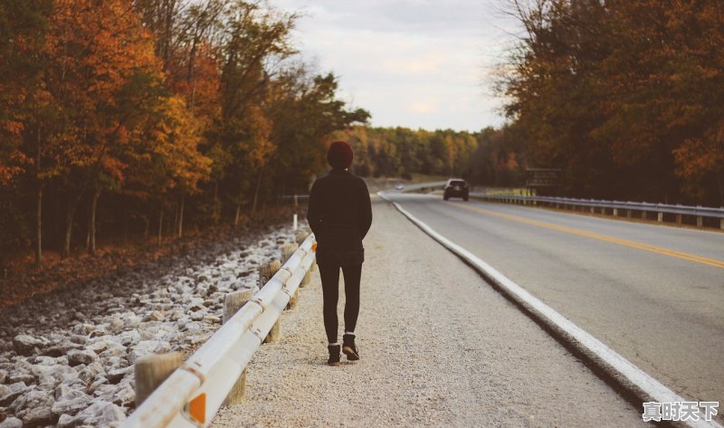 1、2023年异地车辆过户有新规吗,二手车异地过户双方现场 - 真时天下